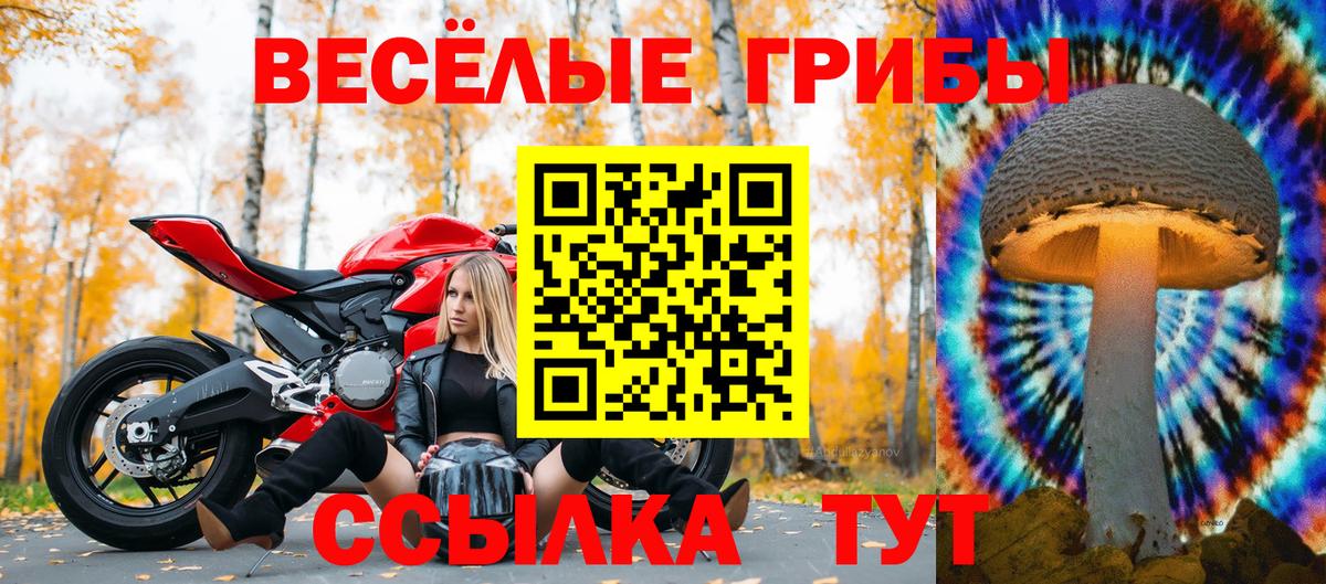 Псилоцибиновые грибы мицелий Краснознаменск